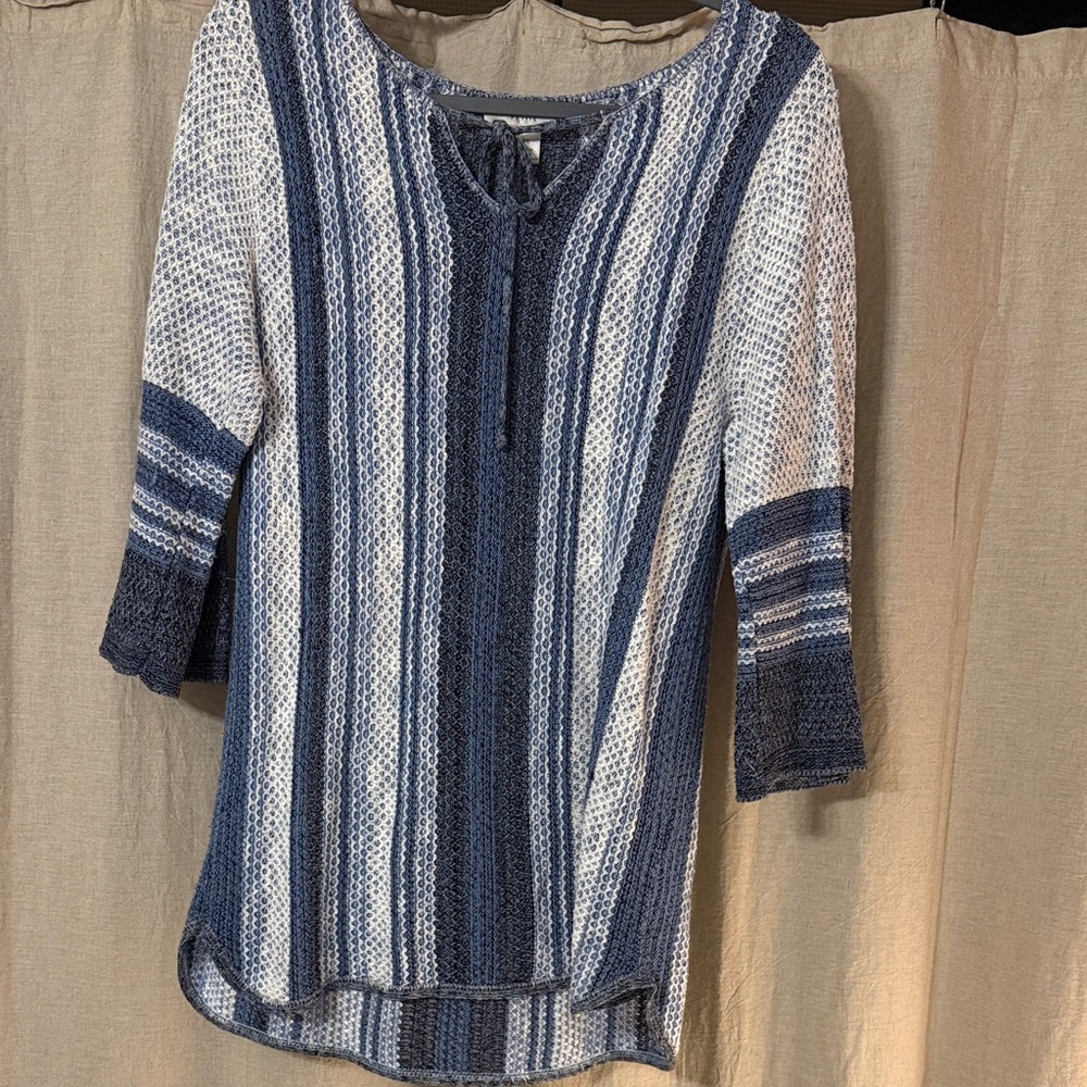 Christopher & Banks Blue and White Knit V-Neck Sweater
